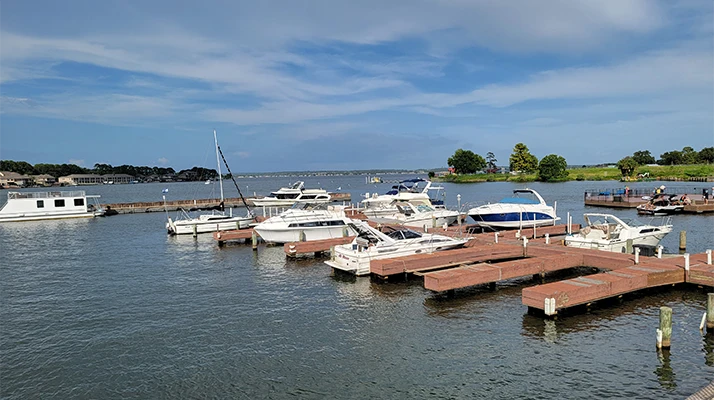 Boats Moored On Lake Conroe
